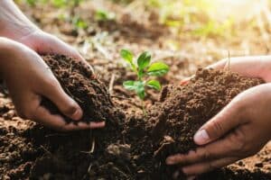 8 Fun Earth Day Activities for Kids