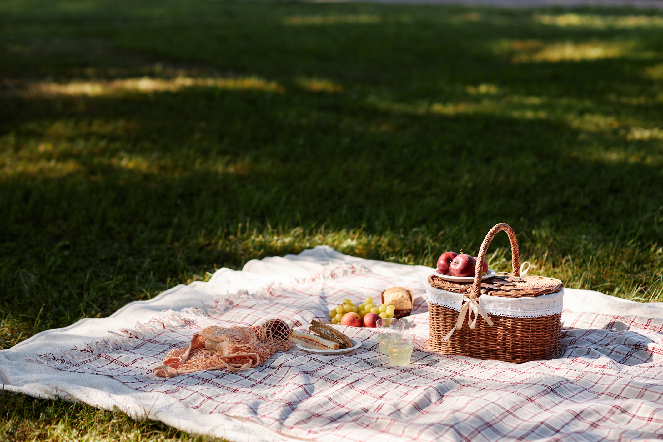 picnic-basket-picture-prompt