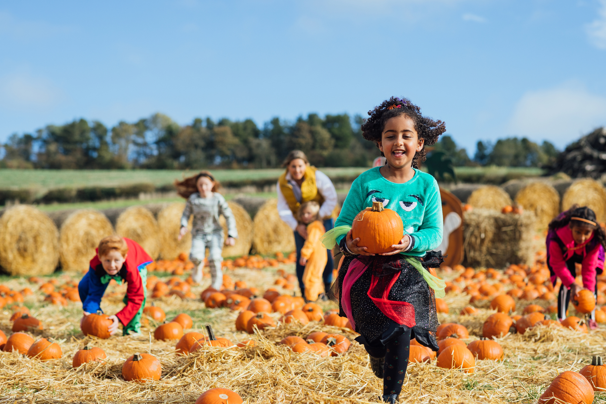 pumpkin-patch-picture-prompt
