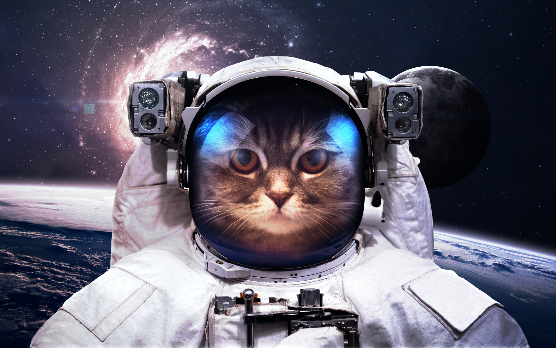 space-cat-astronaut-picture-prompt